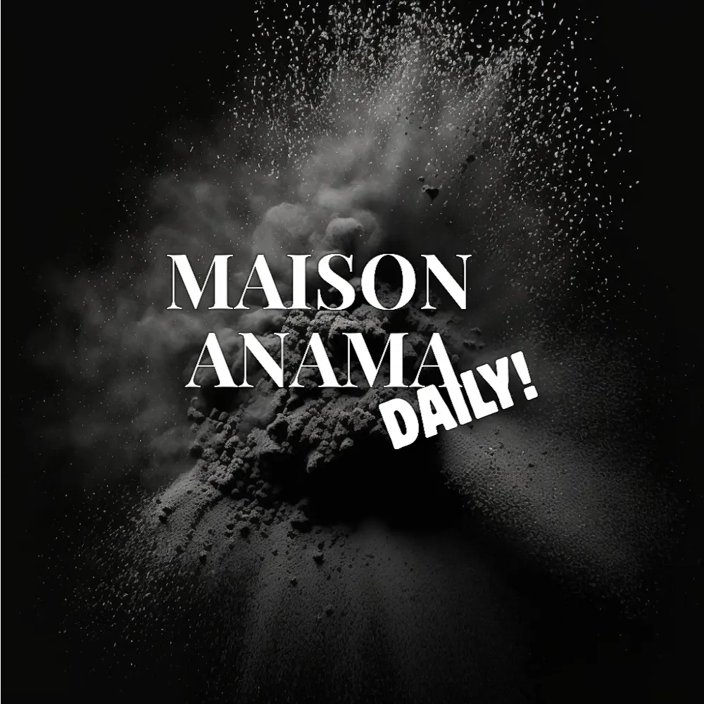 logo maison anama daily