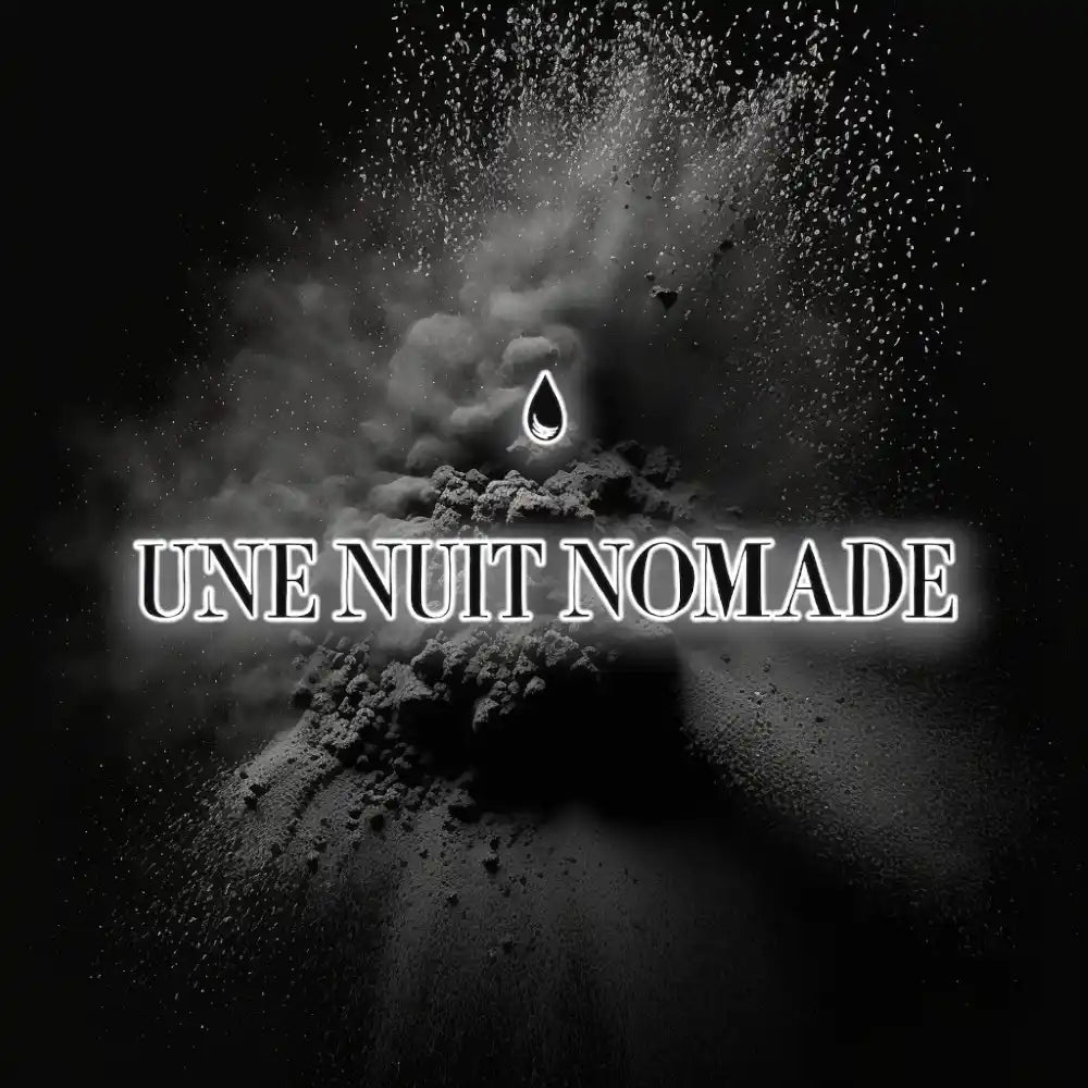 logo une nuit nomade