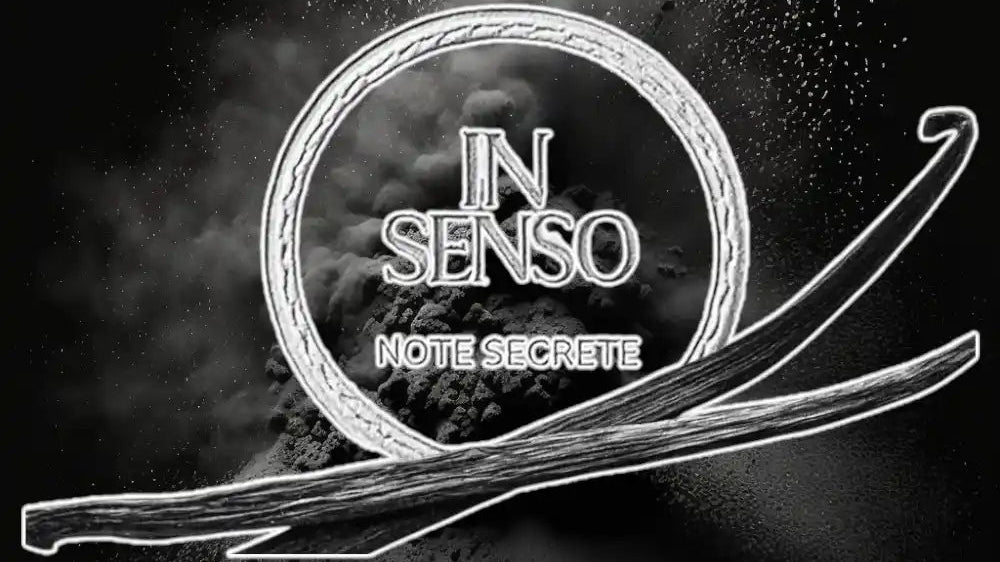In Senso