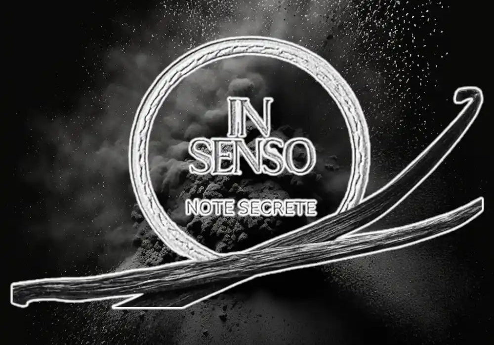 In Senso