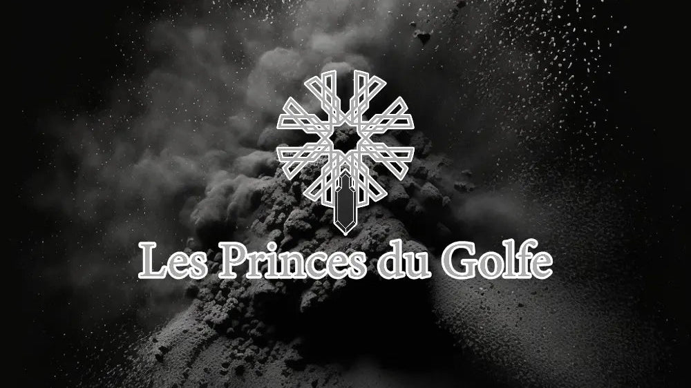 Les Princes du Golfe