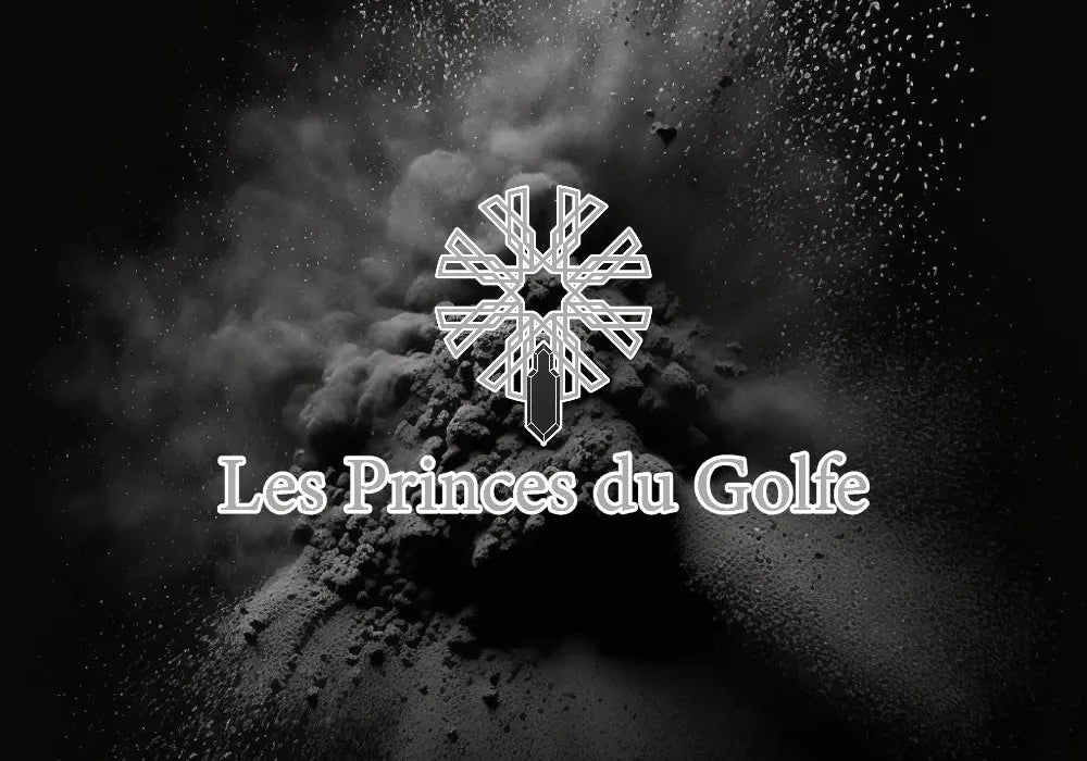 Les Princes du Golfe