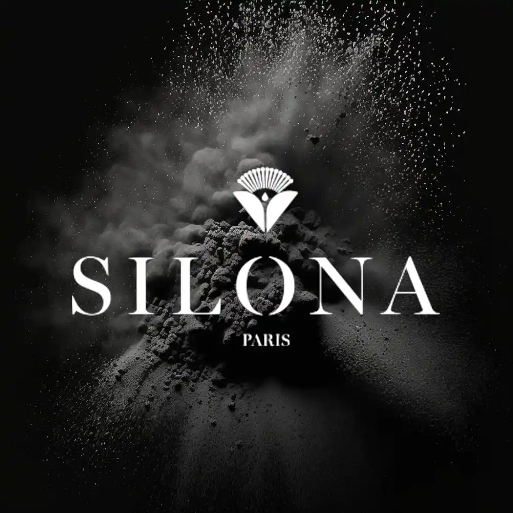 logo silona paris
