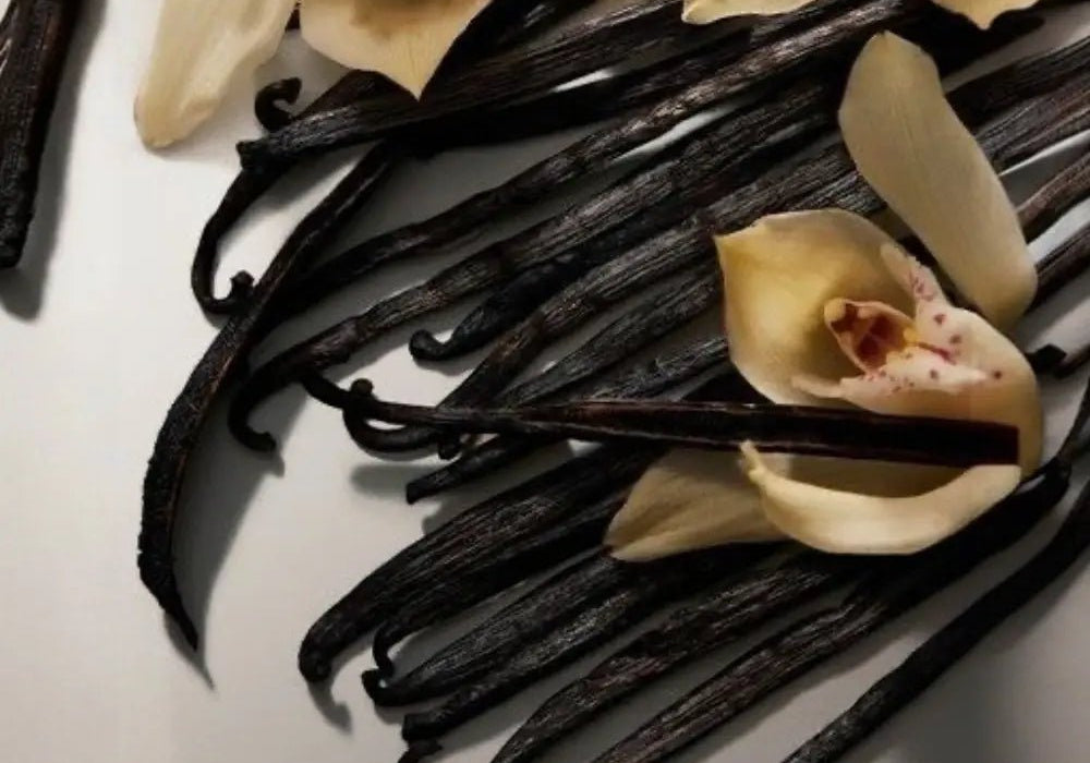 Vanillé