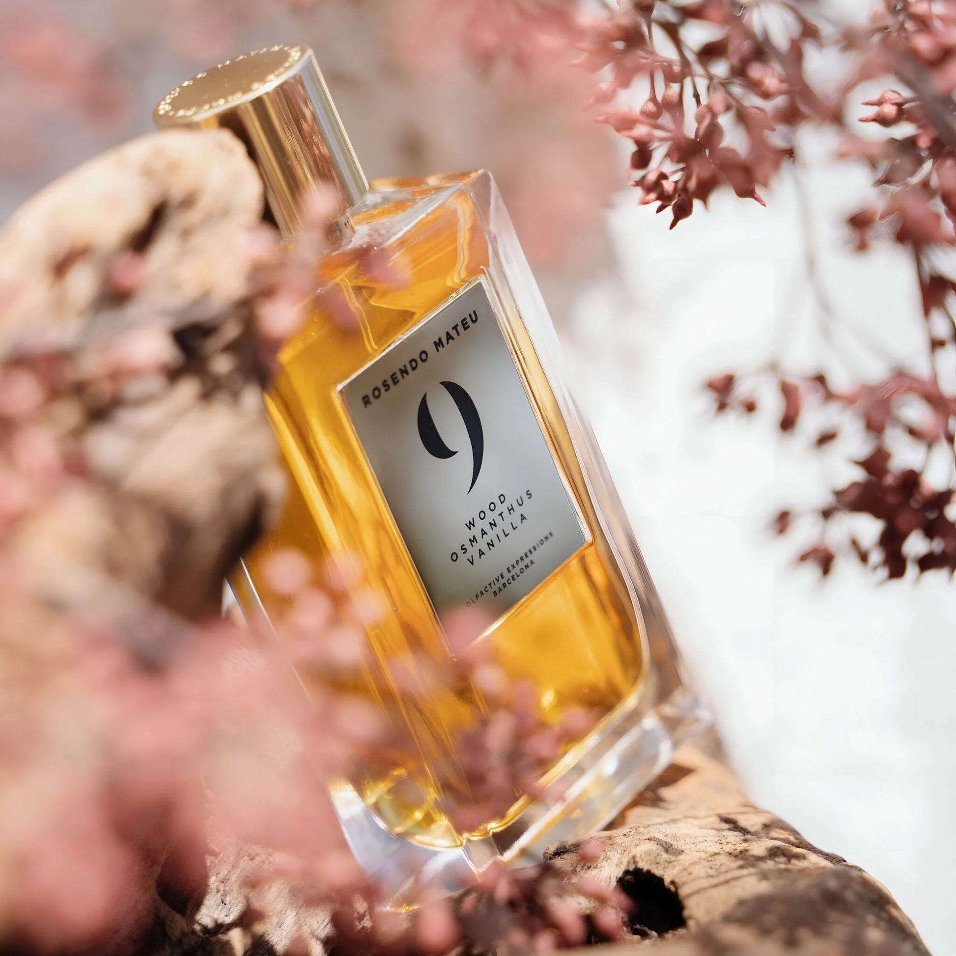 Rosendo Mateu Nº 9, parfum élégant aux nuances épicées, florales, boisées et douceur de vanille, cuir et tabac, accord complexe et raffiné