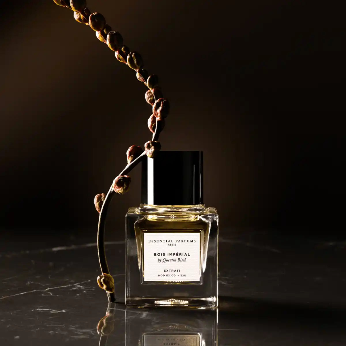 Bois Impérial Extrait 30 ml – Dans un esprit ténébreux sur une table en marbre noir. 
