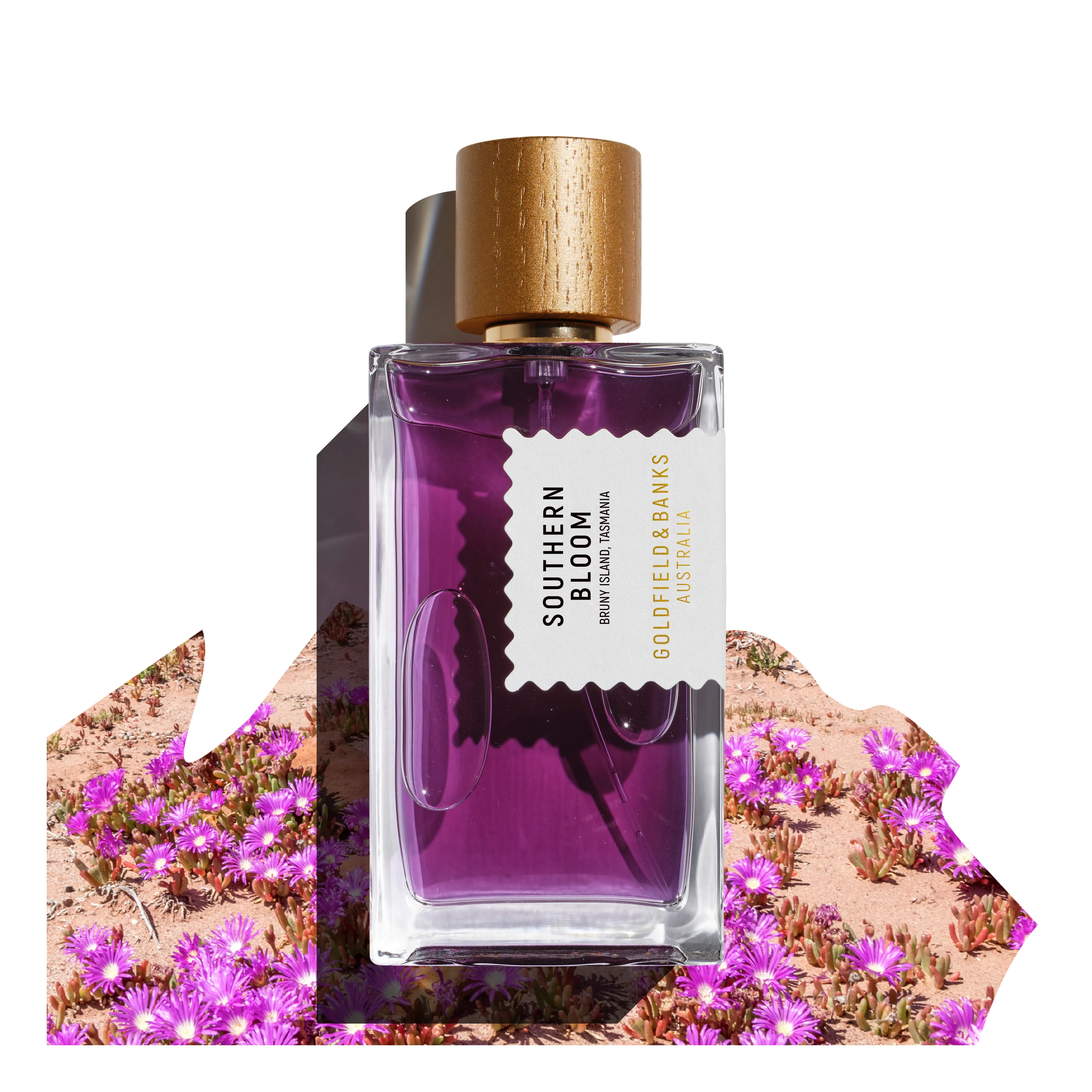 Flacon Southern Bloom de Goldfield & Banks — parfum floral-boisé de luxe inspiré de la floraison éphémère du Boronia brun à Bruny Island (Tasmanie). Notes de tête de mandarine et cassis, cœur riche de Boronia, Jasmin Sambac, Ylang-Ylang, Iris et accord de noix de coco, fond boisé de santal australien, vétiver, musc et ambre.