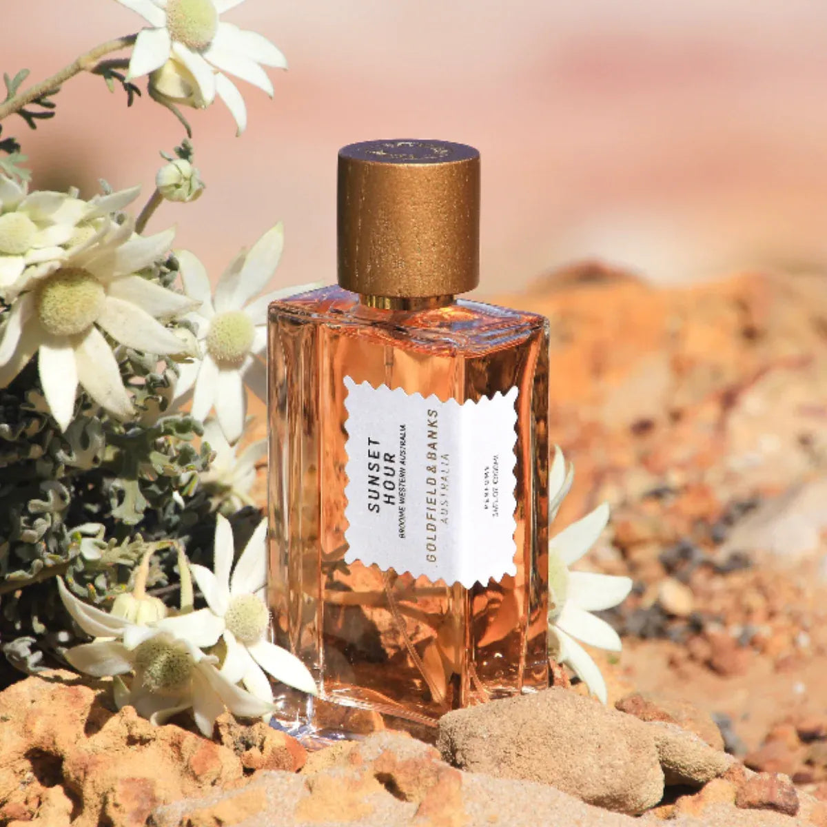 Flacon Sunset Hour de Goldfield & Banks — parfum gourmand fruité-boisé unisexe, mêlant pêche du désert, poire et mandarine en tête, cœur floral tropical de jasmin Sambac, mangue verte, gingembre, crème de noix de coco et poivre rose, sur fond chaud et enveloppant de bois de santal australien, vanille, cashmere wood, benjoin et musc.