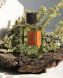 Flacon Wood Infusion de Goldfield & Banks — parfum boisé aromatique unisexe mêlant orange douce en tête, cœur de lavande, iris et patchouli, fond riche de bois exotiques australiens, agarwood (oud), ambre et musc. Inspiré par la nature luxuriante de l’île de K’gari.