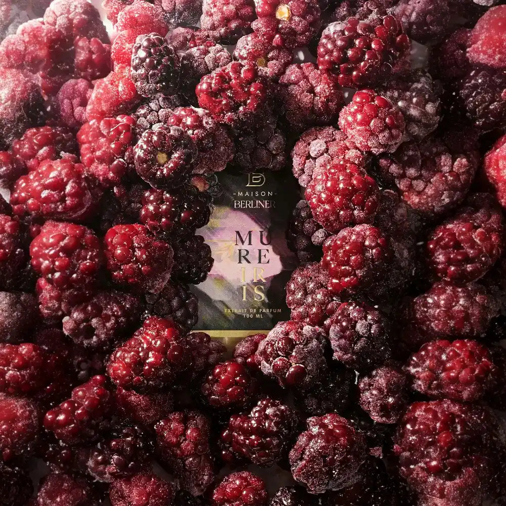 Parfum de niche Maison Berliner Mure Iris sous un tas de mûre givré
