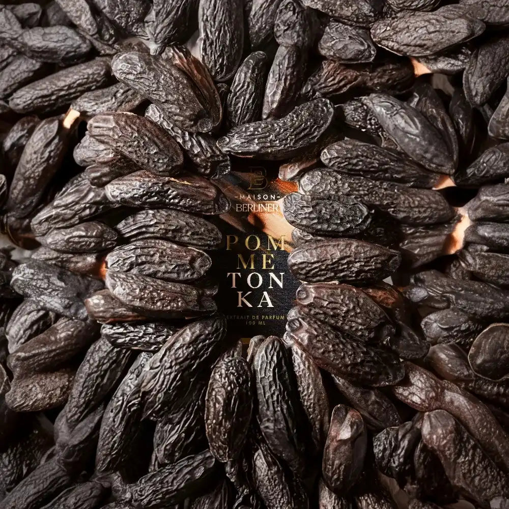 parfum de niche Maison Berliner Pomme Tonka sous un tas de fève de tonka