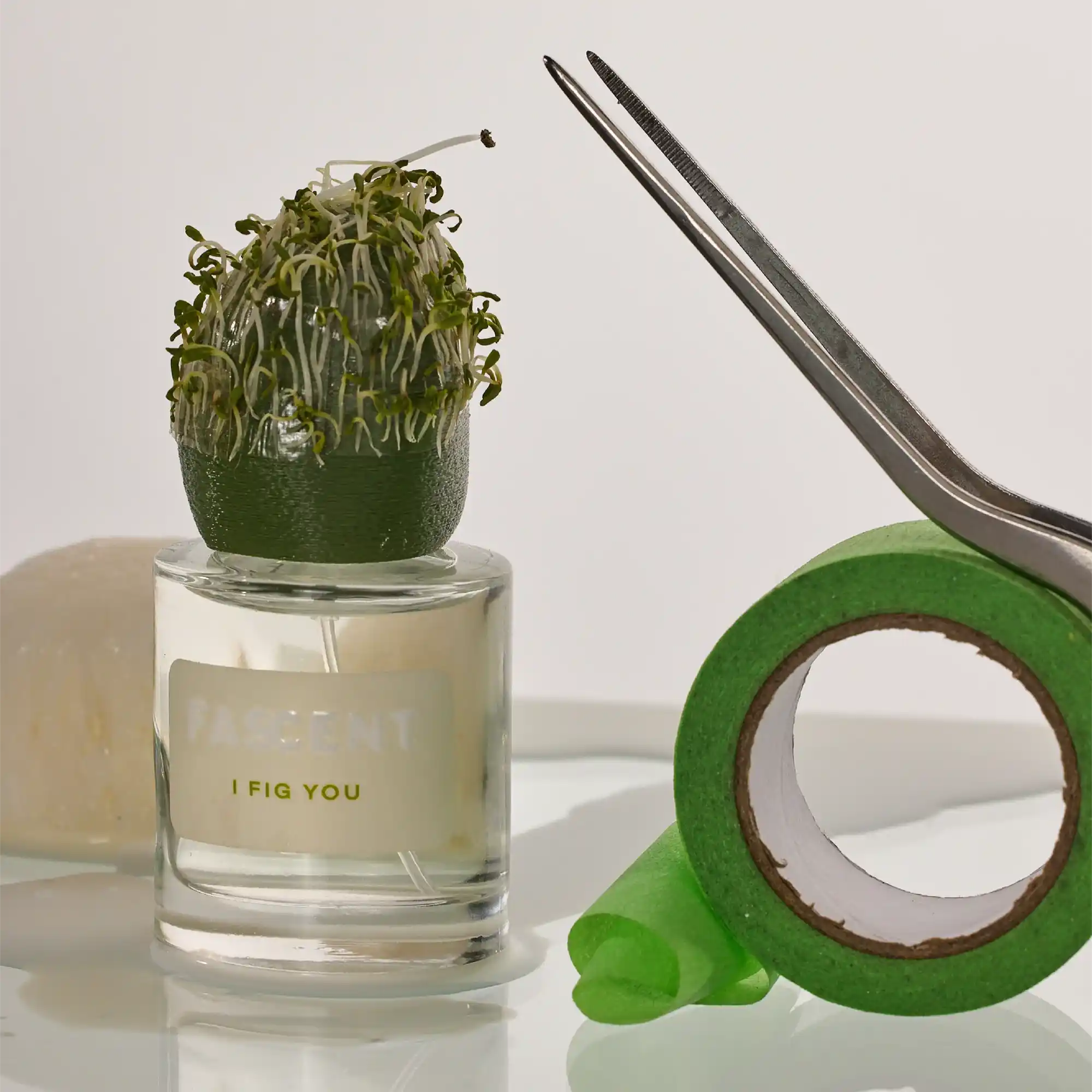 Parfum de niche i fig u de la maison fascent en packshot