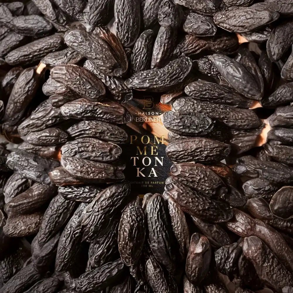 Maison Berliner - Pomme Tonka - ANAMA