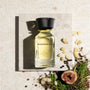 Omanluxury - Wanderlust parfum de niche eau de parfum 100ml posé sur une pierre