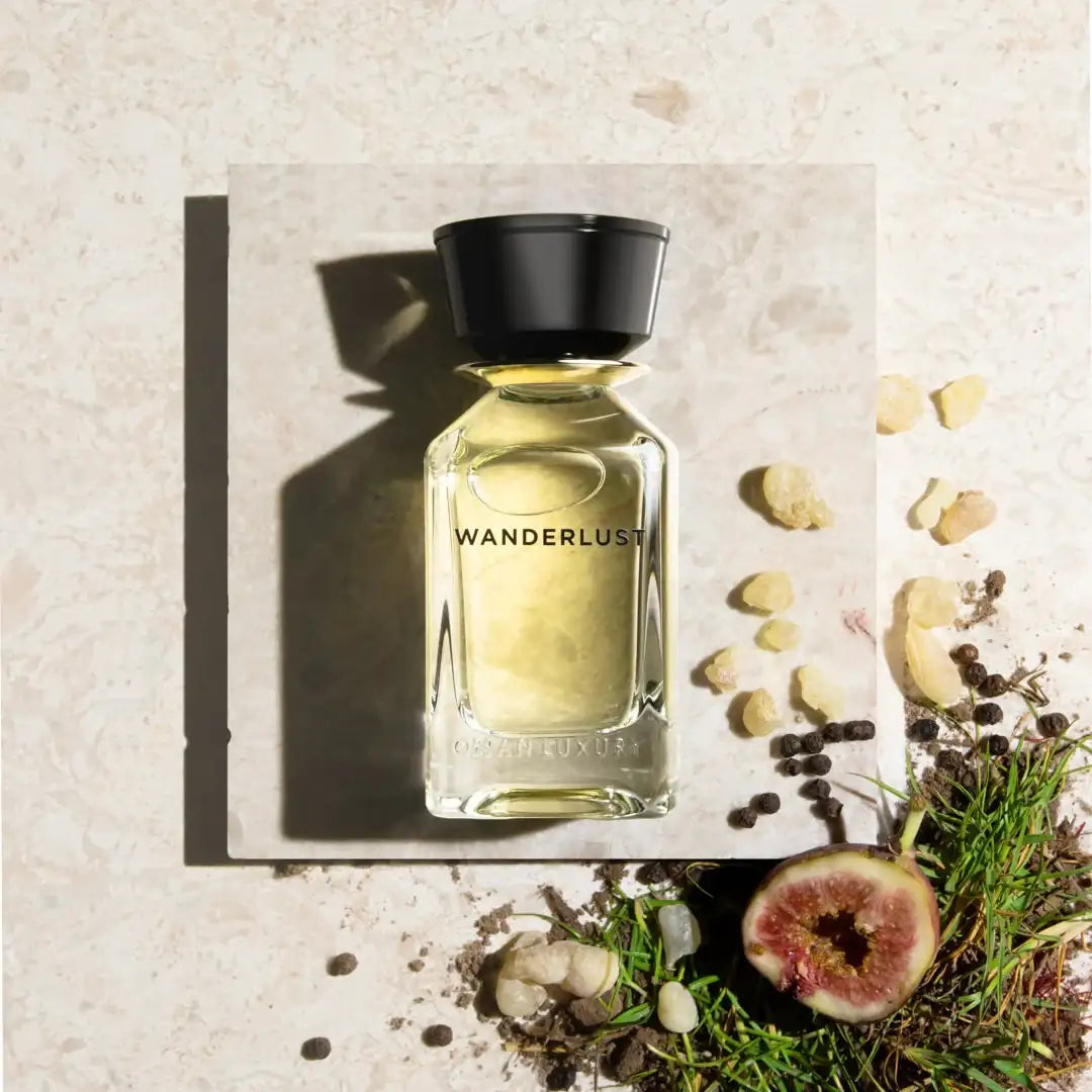 Omanluxury - Wanderlust parfum de niche eau de parfum 100ml posé sur une pierre